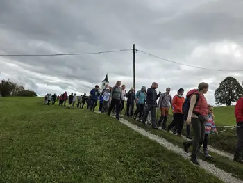 Tradicionalni Kostanjev pohod Tradicionalni Kostanjev pohod