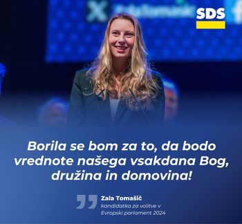 Predvolilna stojnica