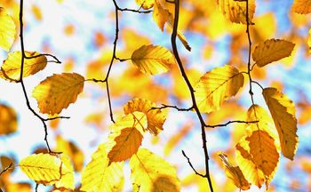 Oktober v Občini Rečica ob Savinji