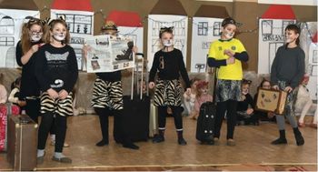 Mačji sejem v Trnavi Mačji sejem v Trnavi