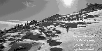 LETNI ZBOR PLANINCEV