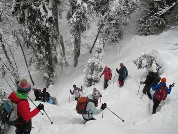 Zimska planinska šola 2019 | razpis