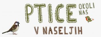 #PticeOkoliNas bomo preštevali tudi v letu 2019