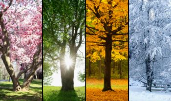 I. celoletna likovna kolonija v Celju