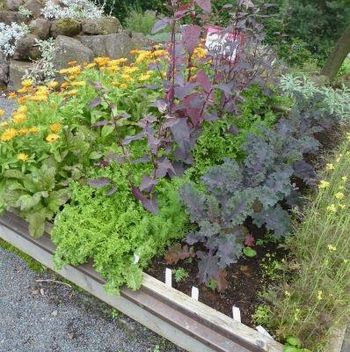 Temelji naravnega varstva in pridelava rastlin