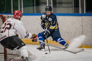 Celjani z zadetkom več odpravili HK Vojvodino