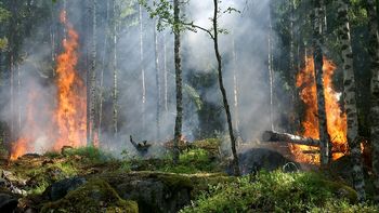 Razglašena velika požarna ogroženost naravnega okolja