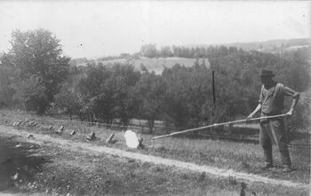 V register nesnovne kulturne dediščine vpisana prva enota in dva nosilca s področja Jesenic