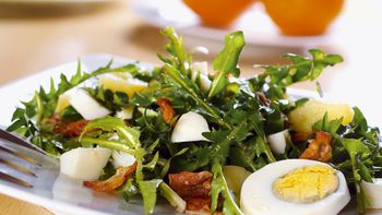 ČESAR VAS O PREHRANI NISO NAUČILI V ŠOLI