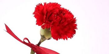 Mednarodni dan žena