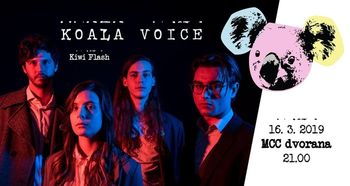 Klubska sobota: Koala voice&Kiwi Flash
