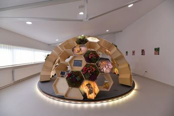 V mirnopeškem muzeju nova atrakcija - paviljon Čebelji svet V mirnopeškem muzeju nova atrakcija - paviljon Čebelji svet