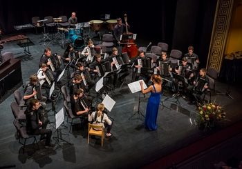 10. Srečanje harmonikarskih orkestrov Slovenije