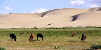 Potopisno predavanje Kirgizija, Tadžikistan, Mongolija