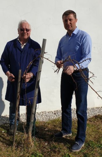 NA SVETU LEPŠE ROŽ´CE NI, KOT JE VINSKA TRTA, POZIMI SPI, SPOMLAD" CVETI, V JESEN NAM VINCE DAJE.