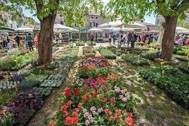 IZMENJAVA SADIK IN SEMEN NA KRŽIŠNIKOVEM VRTU