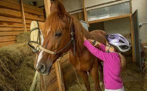 POČITNIŠKI DNEVI ZA OTROKE NA RANČU 16 PODKVIC