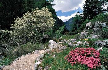 Usposabljanje o botaniki Karavank