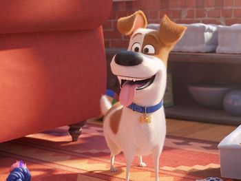 SKRIVNO ŽIVLJENJE HIŠNIH LJUBLJENČKOV 2