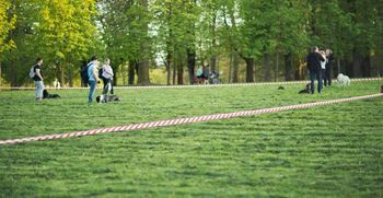 Človek, čuvaj svoje mesto: Ali naj bo moj pes res na povodcu?