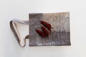 Ne zamudite brezplačne delavnice barvanja z invazivnimi rastlinami