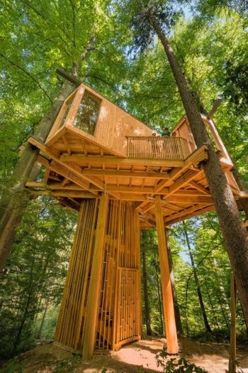 Drevesna hiša: Pravljični prisluhi 2019