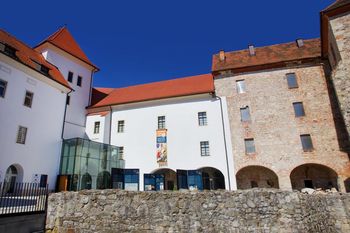 Celjani Celjanom: Koncert Celjskega godalnega orkestra