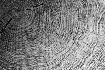 Slovessnost ob dnevu državnosti: prireditev (h)RAST z²godbo