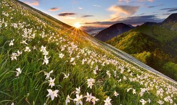 Pohod na Golico z Občino Jesenice; odprtje razstave Trenutki Golice, podelitev priznanj sodelujočim 