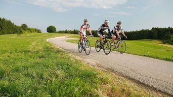 Dan brez avtomobila in Bitka za zeleno