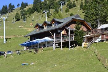 Poučen dan v naravi