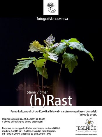 Odprtje razstave: (h)Rast (Stane Vidmar)