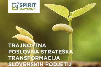Trajnostna poslovna strateška transformacija slovenskih podjetij