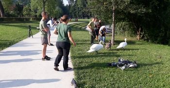 Labodjim mladičem ob Koseškem bajerju smo namestili identifikacijske obročke