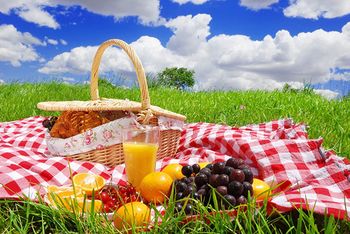 Dan društva - praznovanje s piknikom