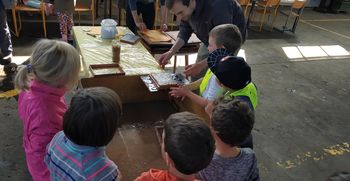 Vas zanima, kako ročno izdelamo papir iz invazivnih tujerodnih rastlin