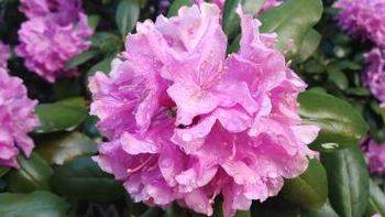 Pogovorni večer - Boris A. Novak