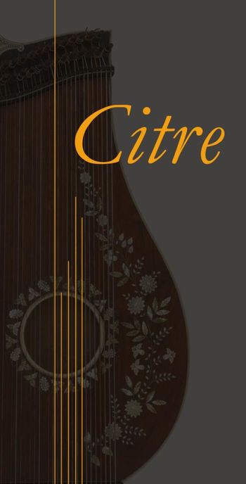 Gostujoča razstava citer