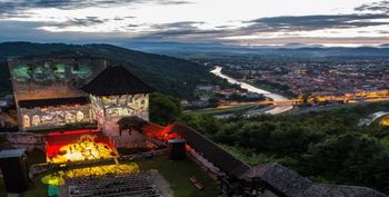 Ta bi na grmadi gorela