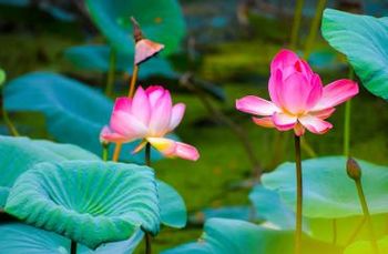 Resnična samozavest - Kaj moremo narediti, da se počutimo dobro vsak dan (Mojca Ambrož)