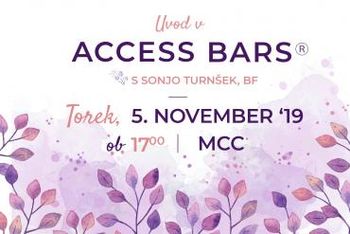 Uvod v Access Bars®