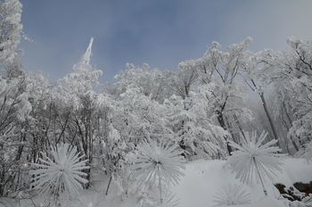 Zimska služba v Mestni občini Celje pripravljena na zimo