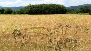 Kapiteljska njiva: Način pokopa v starejši železni dobi