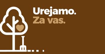 Sečnja dreves v Mostecu