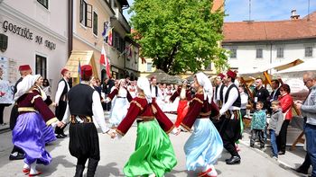 Javni poziv za sofinanciranje programov in delovanje organizacij za leto 2020