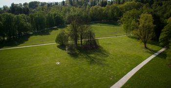 V Tivoliju smo zasadili nova drevesa