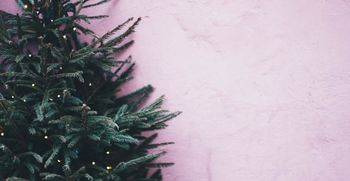 Kaj storiti z odsluženo novoletno jelko ali smreko?