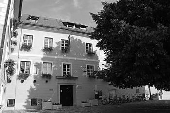 Javni nastop tekmovalcev TEMSIG