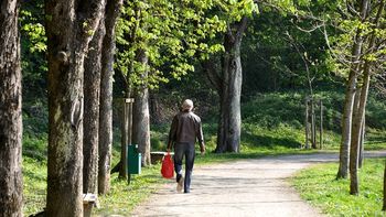 Vzdrževanje mestnega drevja