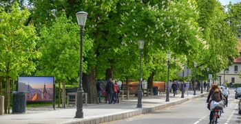 Ljubljana je mednarodno priznano "mesto dreves"